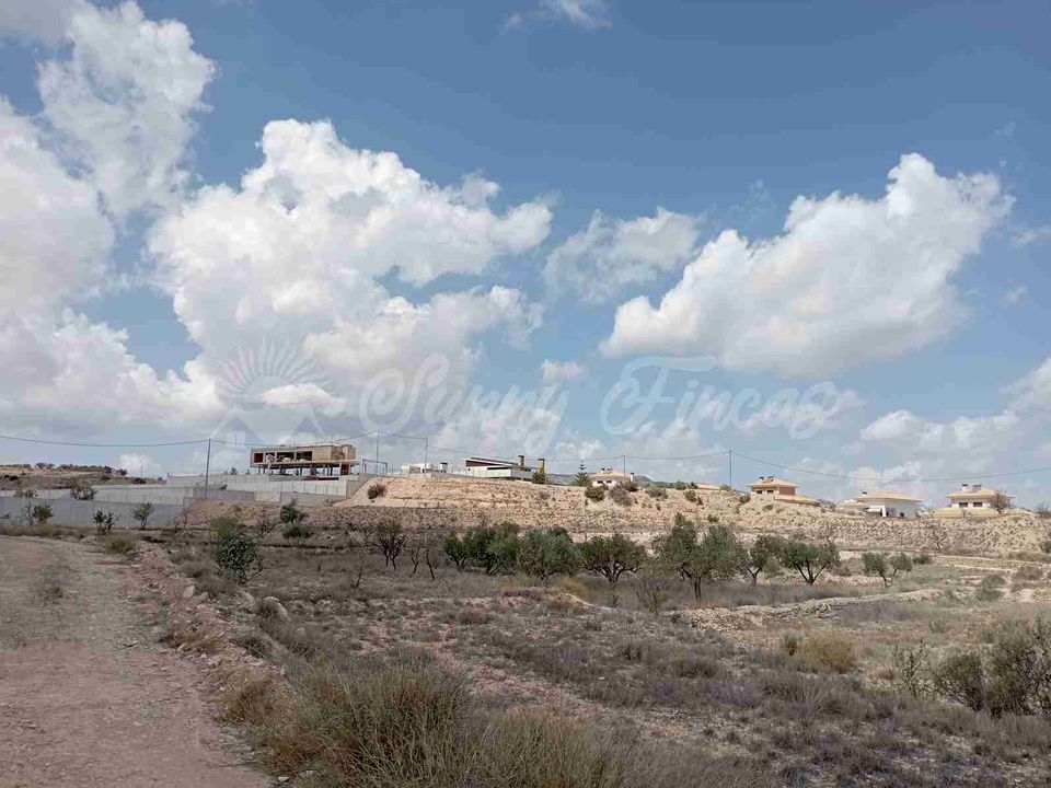Helårsgrund i Monovar, Alicante - foto 5
